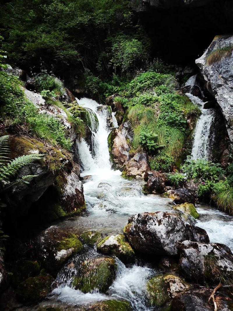 Area Natura Rio Bianco - Parco Adamello Brenta