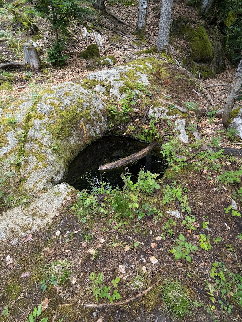 Marmitte dei giganti della Val Genova