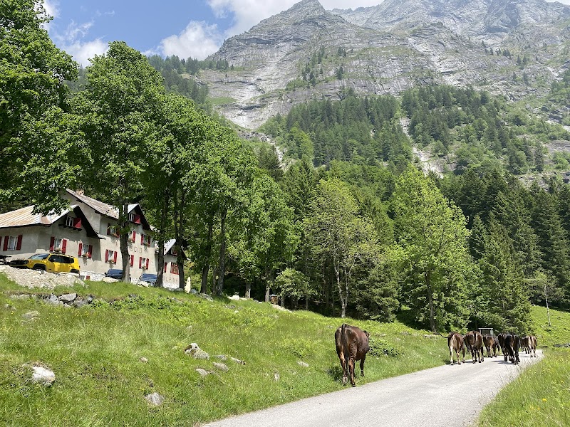Rifugio Stella Alpina
