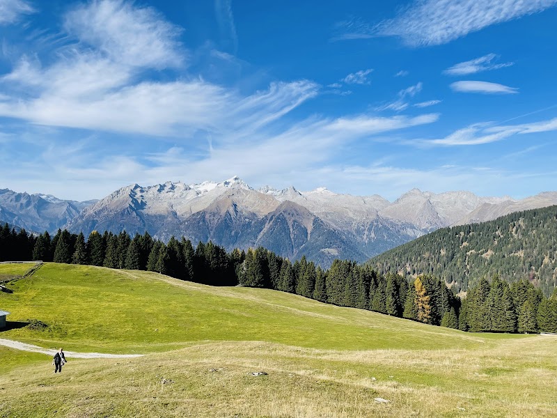 Area Picnic Malga Movlina