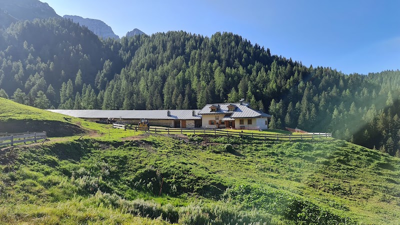 Malga Bandalors - Bregn de l’Ors