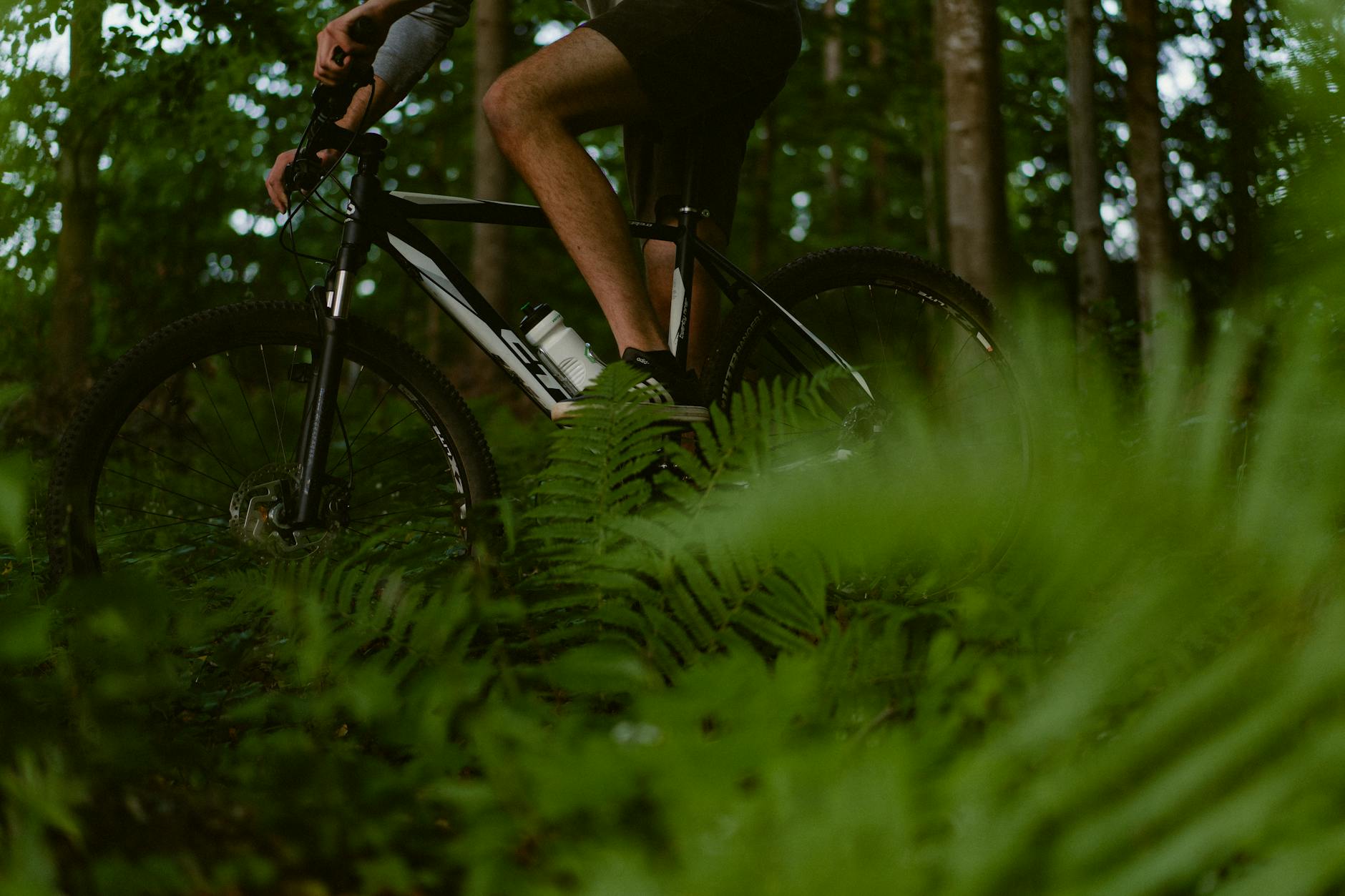 Ciclista in mountain bike su sentiero nel bosco alpino